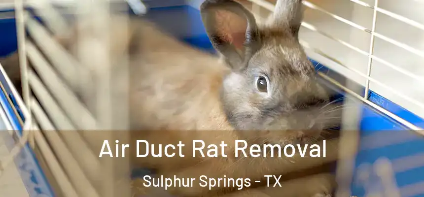  Air Duct Rat Removal Sulphur Springs - TX