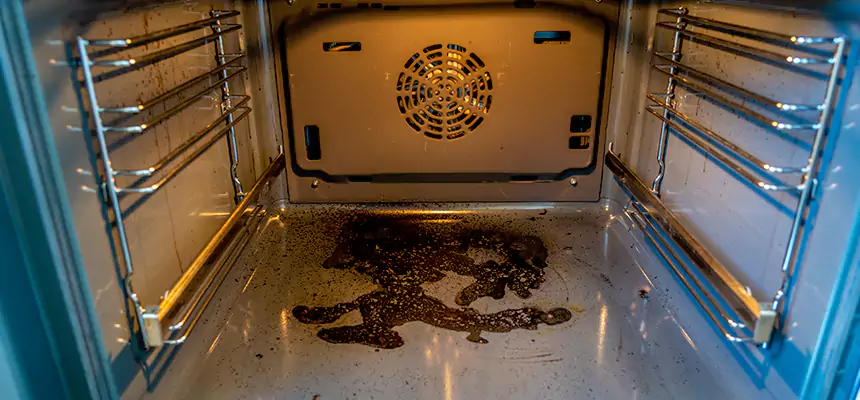 Our Dryer Vent Mold Cleaning Services in Sulphur Springs, TX