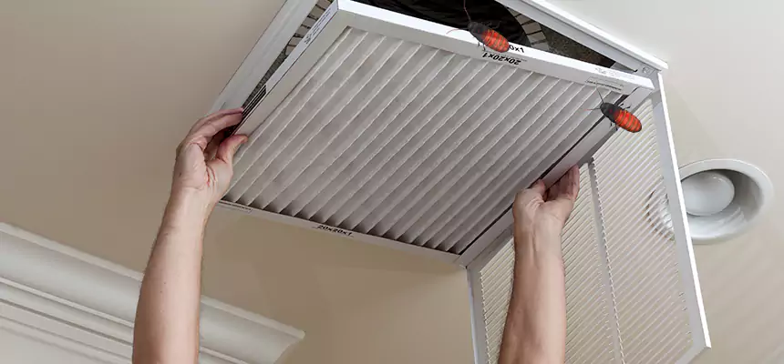 Our Insect Removal from Air Ducts Services in Sulphur Springs, TX
