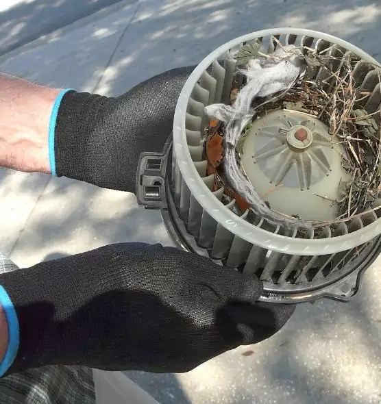 About Air Duct Mice Removal in Sulphur Springs, TX