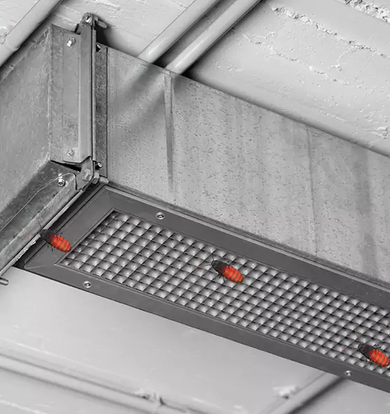 Affordable Insect Removal from Air Ducts in Sulphur Springs, TX