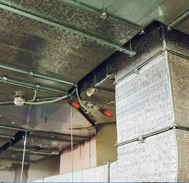 Why Homeowners & Businesses Trust Us in Sulphur Springs, TX?