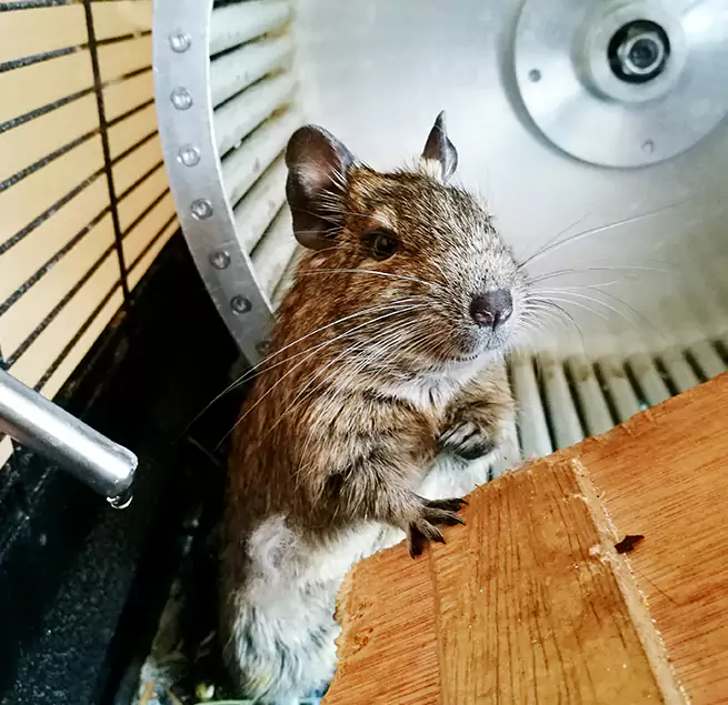 Why Homeowners & Businesses Trust Us Sulphur Springs, TX